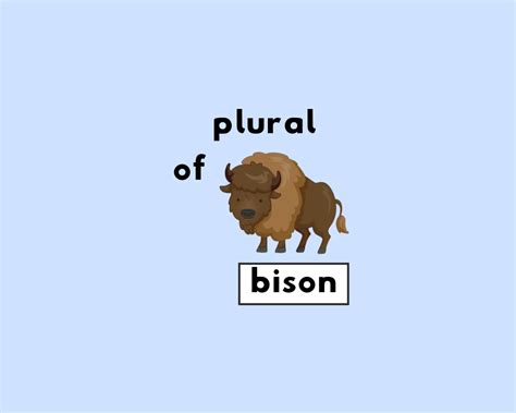 plural of city|plural form of bison.